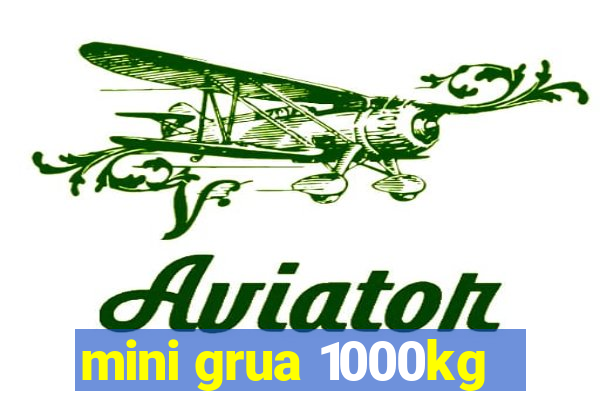 mini grua 1000kg